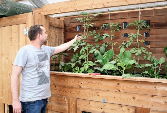 Greenplan droge bak
